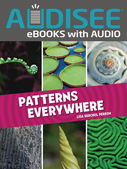 Title details for Patterns Everywhere by Lisa Varchol Perron - Available